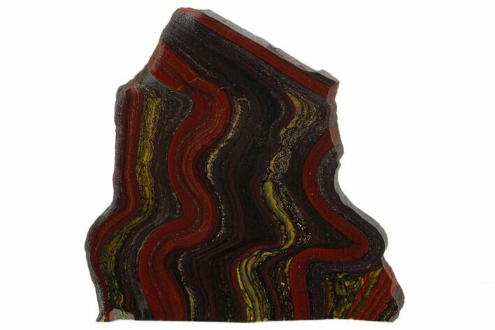 Polished Tiger Iron Stromatolite - Billion Years #129259